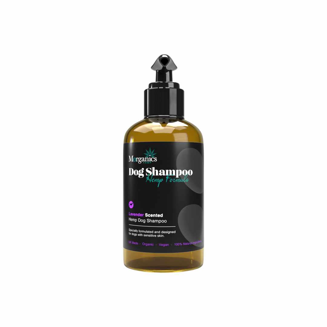 Lavender - Dog Shampoo