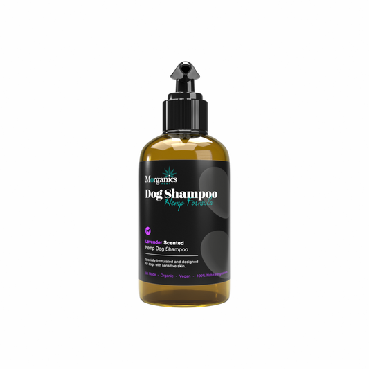 Lavender - Dog Shampoo